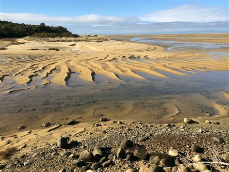 example of wave pattern in nature