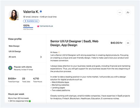 Example Profile In Upwork