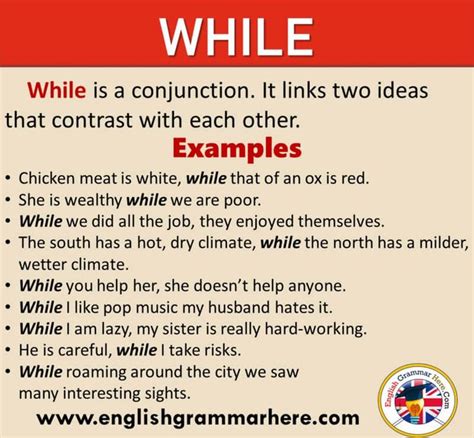 example sentence with while