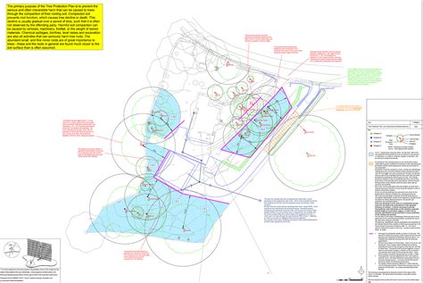Example Tree Protection Plan
