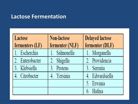   Bacillus cereus lactose fermentation. How to Identify Bacillus cereus