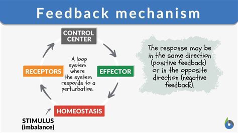 Examples For Feedback Control Mechanism