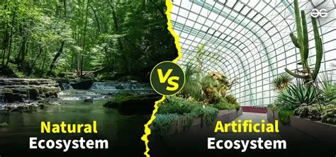 Marketing Environment