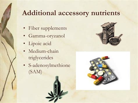 Examples Of Accessory Nutrients