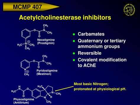 examples of acetylcholinesterase inhibitors