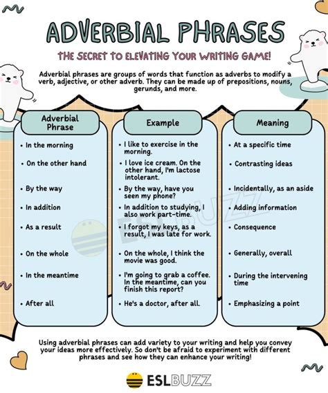 examples of adverbial phrase and their functions