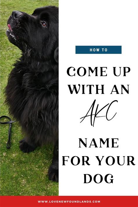 examples of akc dog names