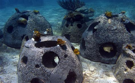 Examples Of Artificial Reefs