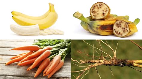 Examples Of Artificial Selection In Fruits