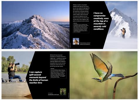 Examples Of Catalog Entries For A Paining