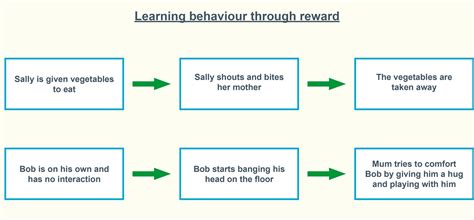 examples of challenging behaviour in disability