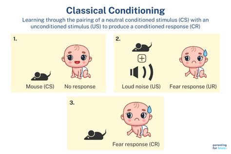 Examples Of Classical Conditioning In Child Development