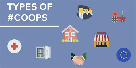 Examples Of Co-Operatives In Nz