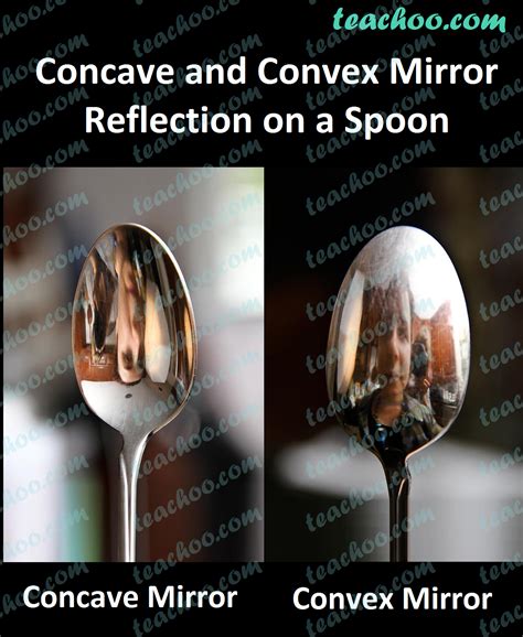 Examples Of Concave And Convex Mirrors