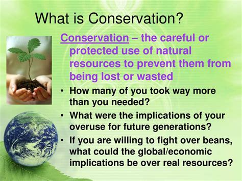 examples of conservation in environmental science