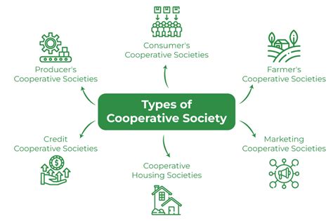 Examples Of Cooperatives Business