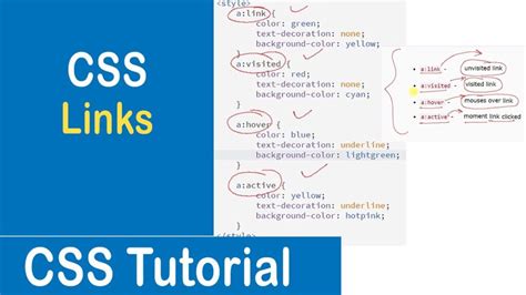 Examples Of Css Links