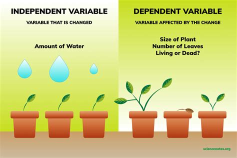 examples of dependent and independent variables in scientific experiments