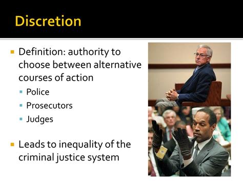 examples of discretion in criminal justice system