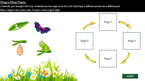 Examples Of Drag And Drop Questions
