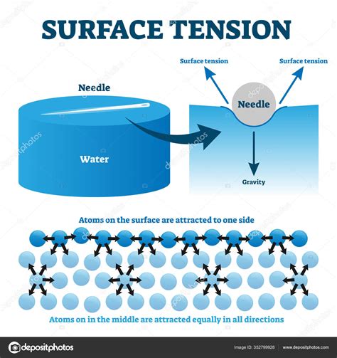 Examples Of Effects Of Surface Tension