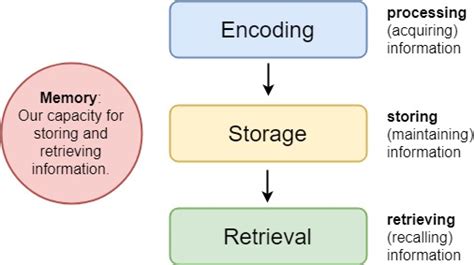 Examples Of Encoding Storage And Retrieval
