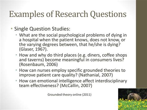 examples of grounded theory research questions