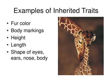 examples of inherited characteristics in animals