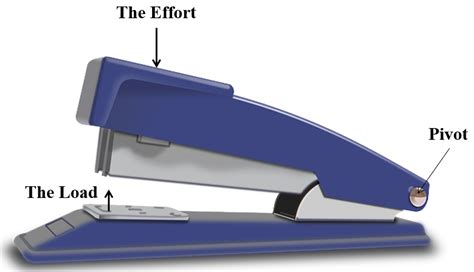 Examples Of Lever Stapler