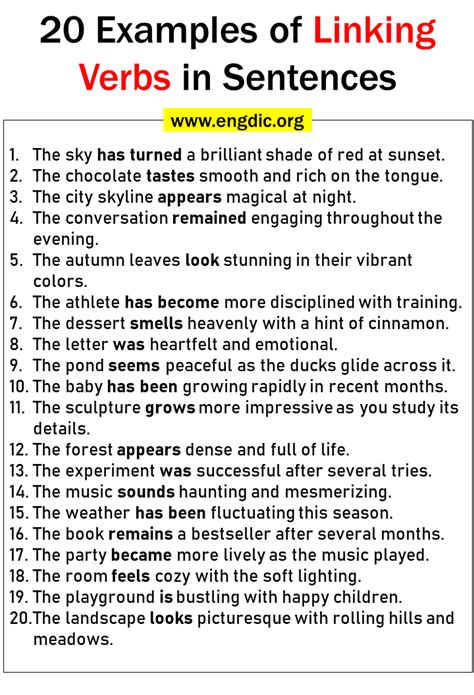 Examples Of Link Verbs Sentences