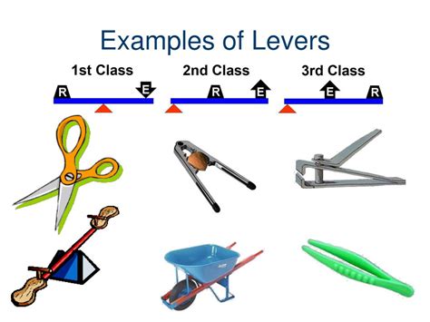 Examples Of Machines With Levers