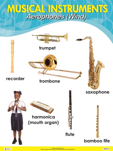 Examples Of Musical Instruments Aerophone