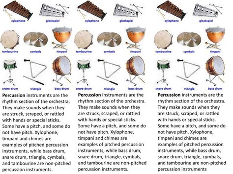 Examples Of Non Percussion Instruments