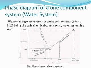 Examples Of One Component System
