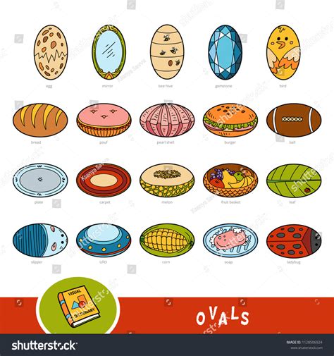 Examples Of Oval Shaped Objects