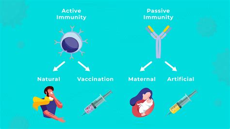 examples of passive immunization