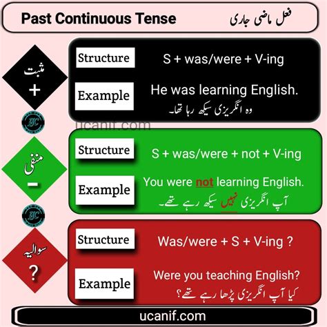 examples of past continuous tense in urdu
