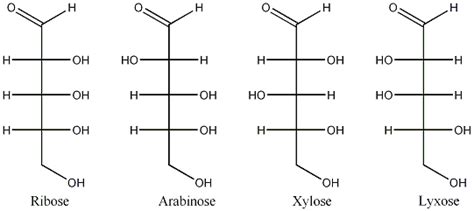 Examples Of Pentoses
