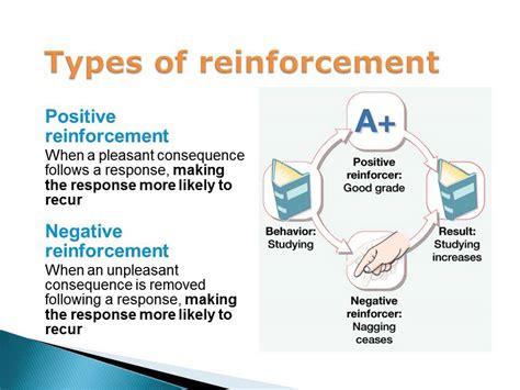 examples of positive and negative reinforcement in operant conditioning