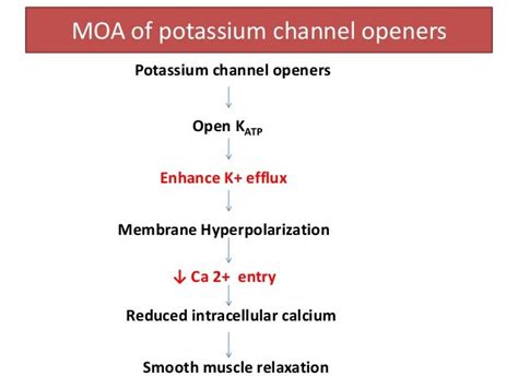 Examples Of Potassium Channel Openers