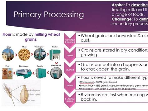 Examples Of Primary Food Processing