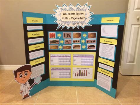 examples of projects in school
