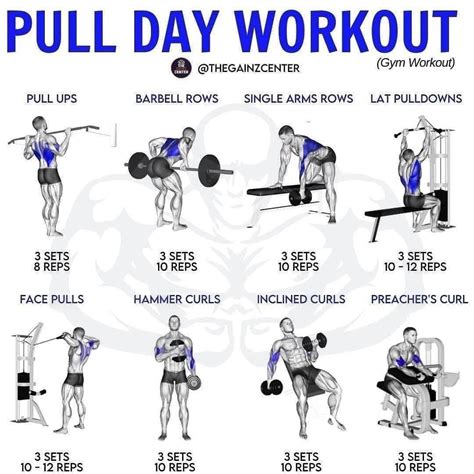 Examples Of Pull Day Exercises