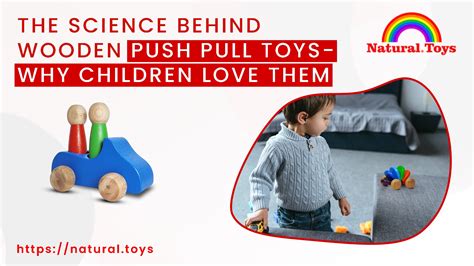Examples Of Push Pull Toys