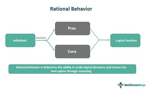 examples of rational behavior model