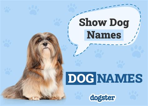 examples of registered dog names