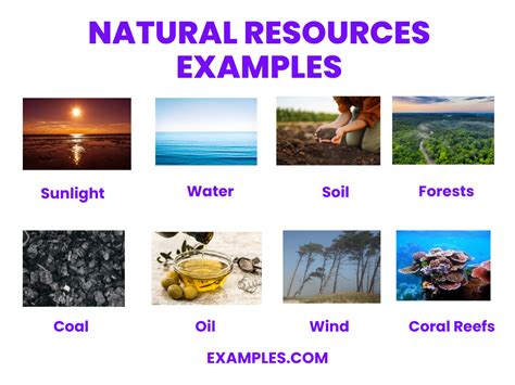 examples of resources in school