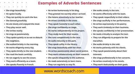 Examples Of Sentences Using Adverbs