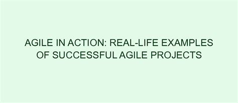 examples of successful agile projects in real life