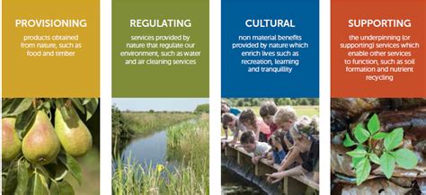 examples of supporting ecosystem services
